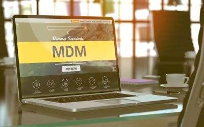 Democratizing Master Data Management Solutions